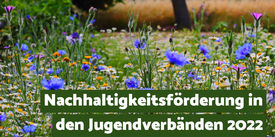 Förderung Nachhaltigkeit 2022_11