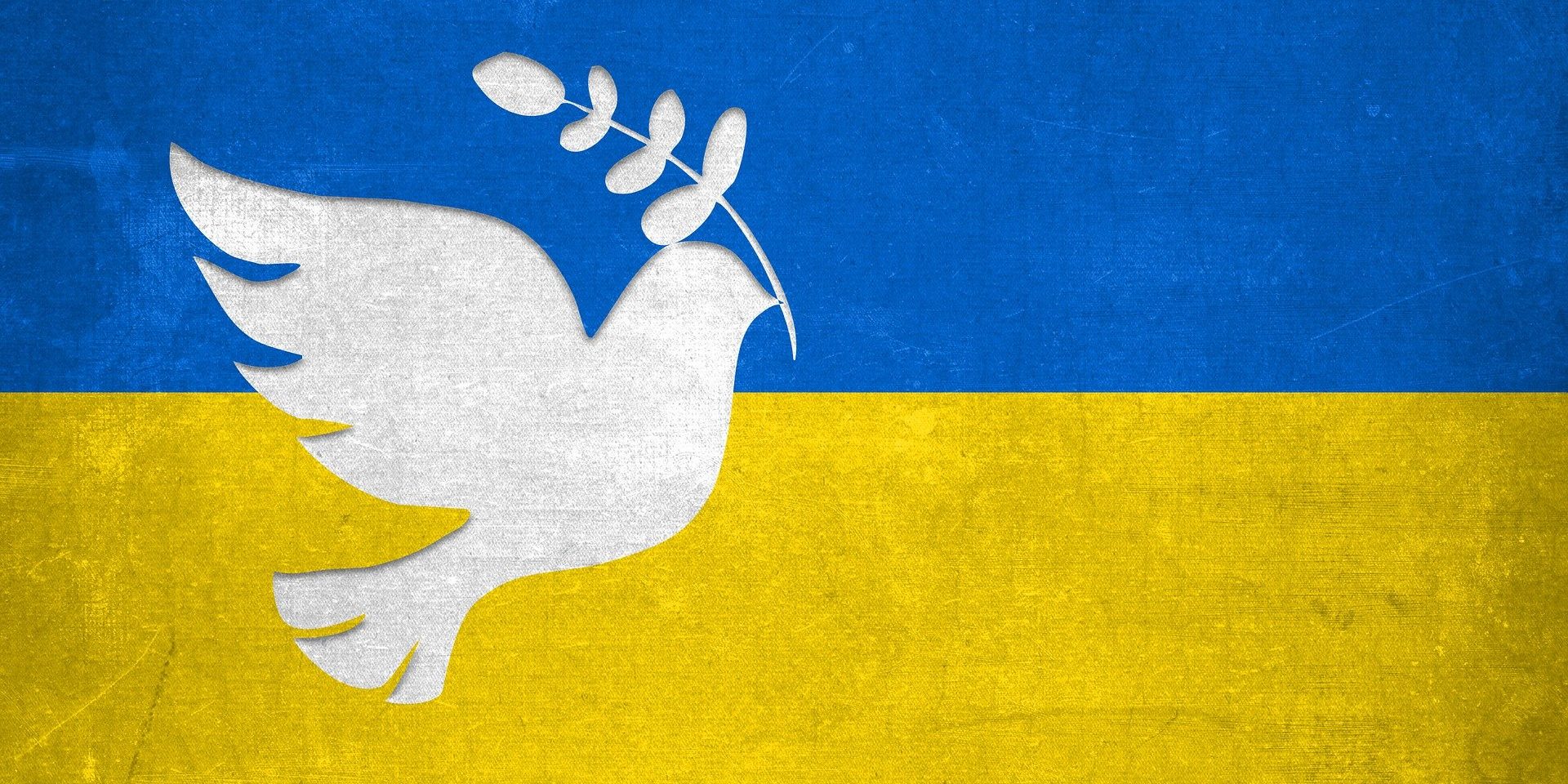 dove-gb087afcd1_1920