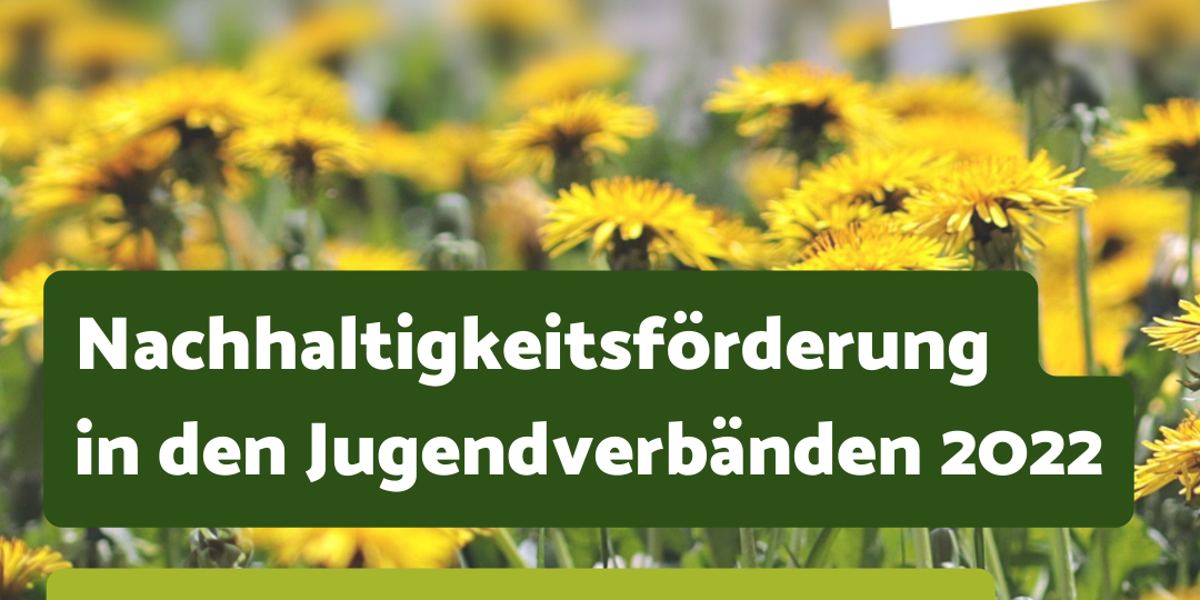 Im Hintergrund ist eine Wiese mit Löwenzahn zu sehen. Im Vordergrund steht der Text: Nachhaltigkeitsförderung in den Jugendverbänden 2022. Jetzt in der zweiten Runde bis zum 22. Mai beantragen
