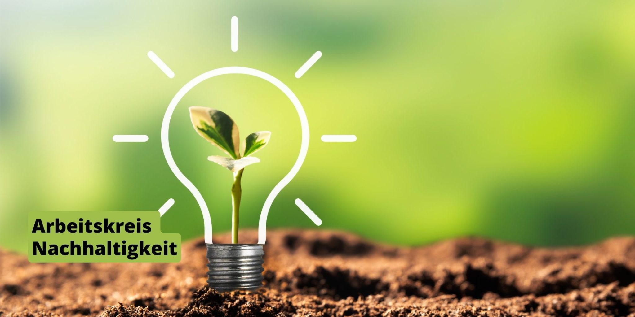 Mittig im Bild wächst ein junges Pflänzchen aus dem Erdboden. Um die Pflanze herum ist der Umriss einer Glühbirne gezeichnet. Links im Bild steht der Schirftzug Arbeitskreis Nachhaltigkeit.