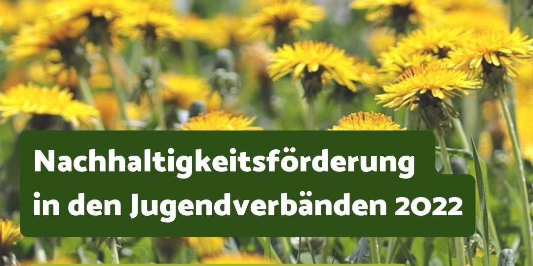Im Hintergrund ist eine Wiese mit Löwenzahn zu sehen. Im Vordergrund steht: Nachhaltigkeitsförderung in den Jugendverbänden 2022. jetzt bis zum 30. September beantragen