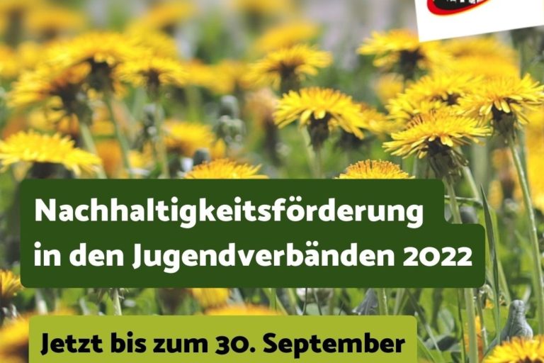 Im Hintergrund ist eine Wiese mit Löwenzahn zu sehen. Im Vordergrund steht: Nachhaltigkeitsförderung in den Jugendverbänden 2022. jetzt bis zum 30. September beantragen
