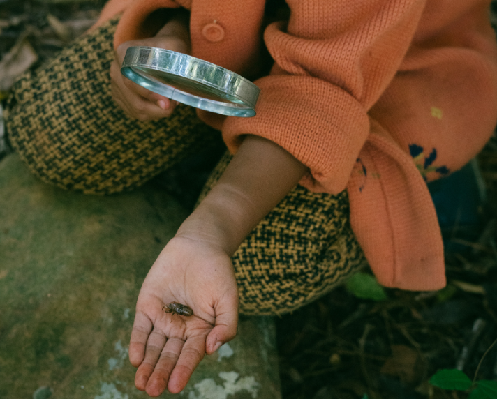 Ein Mädchen sitzt auf dem Waldboden. in ihrer linken Hand hält sie auf der Handfläche einen Käfer. In der anderen Hand hält sie eine Lupe.